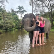 Chiang Mai: Elephant Sanctuary & Waterfall Group Tour