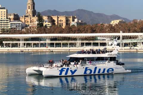 Malaga: Catamaran Trip with Optional Stop for Swimming