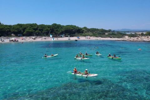 Vourvourou: Excursión guiada de medio día en kayak por la isla de Diaporos