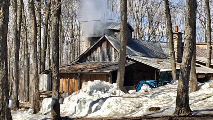 montreal sugar shack maple syrup day trip with lunch