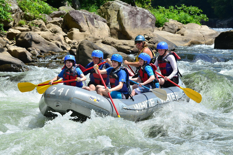 Bali: Tour del fiume Ayung con rafting e altalena nella giungla con trasferimentoDal centro di Bali: tour con altalena nella giungla e trasferimento