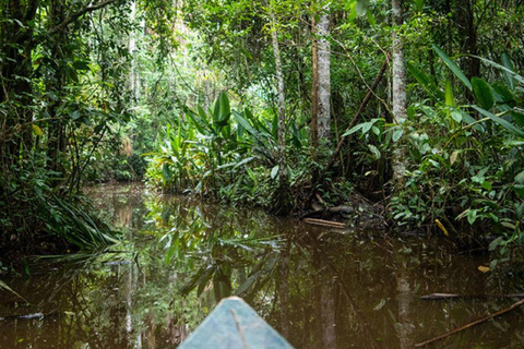 Von Iquitos aus: Ganzer Tag Amazonas Fluss