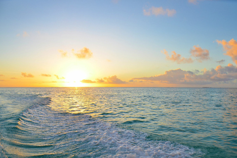 Grande Riviere Noire: Crucero privado en catamarán con cena al atardecer