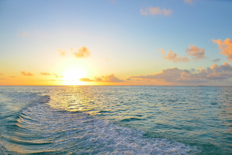 Grande Riviere Noire: Crucero privado en catamarán con cena al atardecer