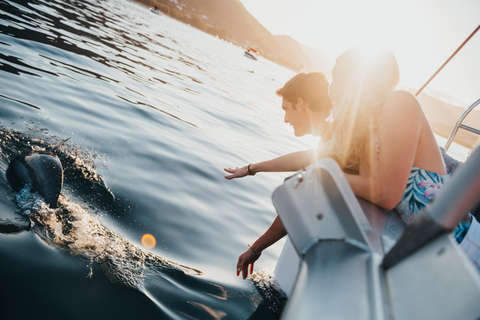 Mauricio: crucero de día completo con almuerzo de barbacoaTour Compartido