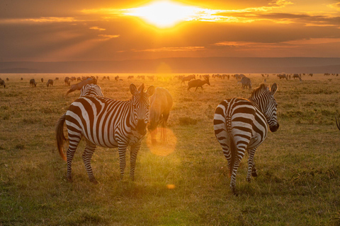 Nairobi:5Days Maasai Mara,Lake Nakuru &Naivasha Group Safari Accomodation Upgrade