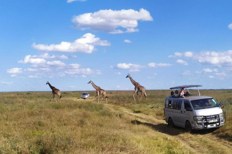 Nairobi: 3-Day Maasai Mara SafariTour with Campsite