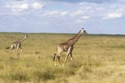 Nairobi: Wycieczka do Parku Narodowego Piekielnej Bramy z przewodnikiem