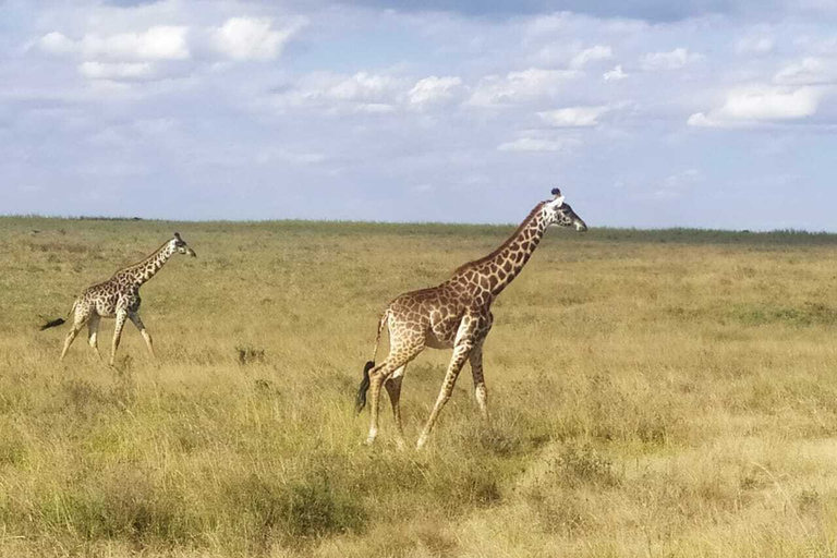 Nairobi: Hell's Gate Nationalpark-Tour mit Führer