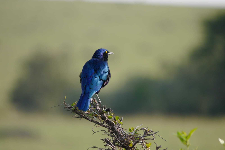 Nairobi: Hell's Gate National Park Tour with Guide