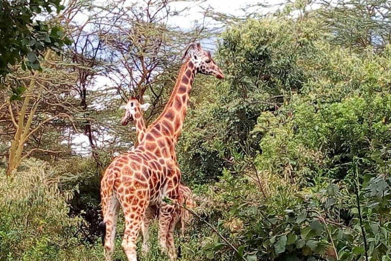 Nairobi: tour del Parque Nacional Hell's Gate con guía