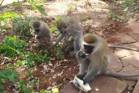 Mount Longonot Climbing Tour z Nairobi