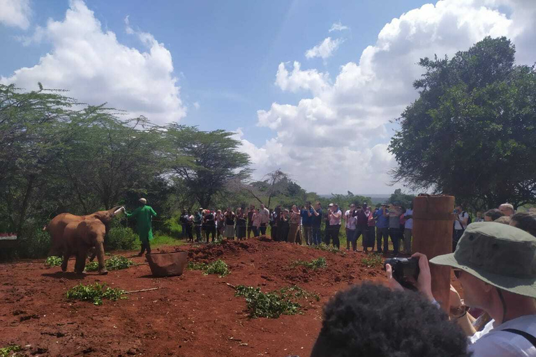 Nairobi: Privat rundtur på elefantbarnhemTur till David Sheldrick Wildlife Trusts barnhem