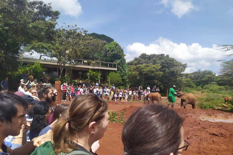 Nairobi: Privat rundtur på elefantbarnhemTur till David Sheldrick Wildlife Trusts barnhem