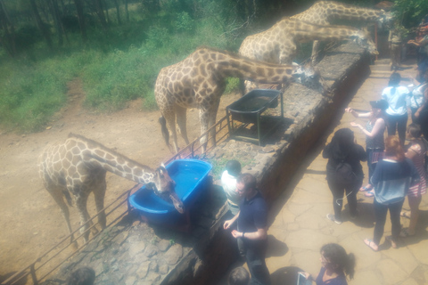 Nairóbi: elefantes, girafas, excursão de Karen Blixen e Bomas