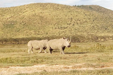 Excursion d'une journée au parc national de Nairobi, aux éléphants, aux girafes et aux bomas