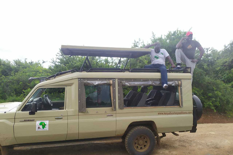 Parque Nacional de Nairóbi, elefantes, girafas e viagem de um dia a Bomas