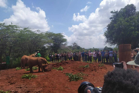 Nationaal park Nairobi, dagtochten olifanten, giraffen en Bomas