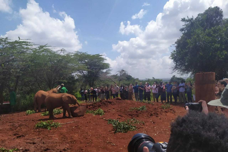 Excursion d'une journée au parc national de Nairobi, aux éléphants, aux girafes et aux bomas