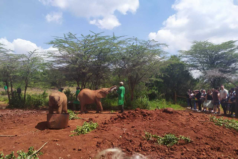 Excursión de un día al Parque Nacional de Nairobi, elefantes, jirafas y Bomas