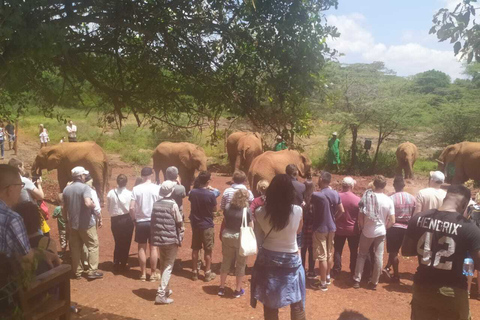 Gita di un giorno al Parco nazionale di Nairobi, elefanti, giraffe e bomasGita di un giorno al Parco nazionale di Nairobi, elefanti, giraffe e Bomas