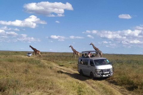 Excursão de um dia ao Parque Nacional do Lago Nakuru saindo de Nairóbi