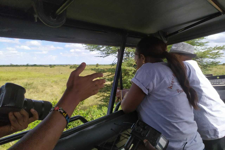 Excursão de um dia ao Parque Nacional do Lago Nakuru saindo de Nairóbi