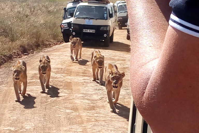 Excursão de um dia ao Parque Nacional do Lago Nakuru saindo de Nairóbi