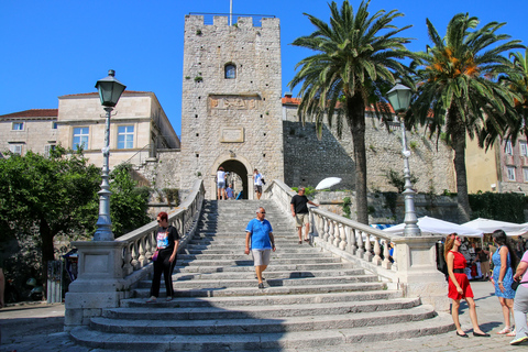 Au départ de Dubrovnik : Visite guidée de Pelješac et KorčulaDepuis Dubrovnik