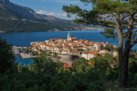 Van Dubrovnik: rondleiding door Pelješac en KorčulaVan Dubrovnik