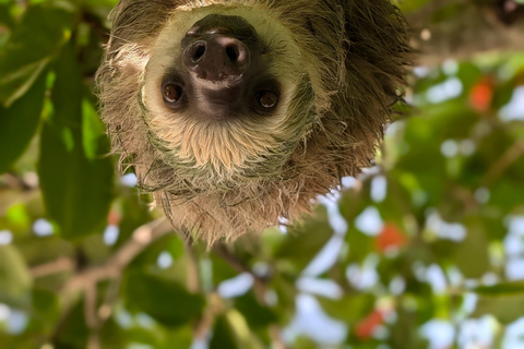 Panama: 1 night and 2-Days in a Caribbean Island Beach House Panama City:2-Days Portobelo and Caribbean Island Tour