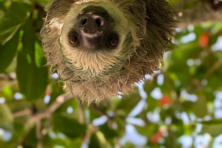 Panama: 1 night and 2-Days in a Caribbean Island Beach House Panama City:2-Days Portobelo and Caribbean Island Tour