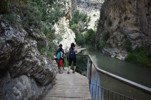 Granada: ruta de Gollizno y caminata guiada por el río Velillos