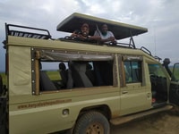 Desde Arusha, el lago Manyara National Park Trip de día completo - Housity