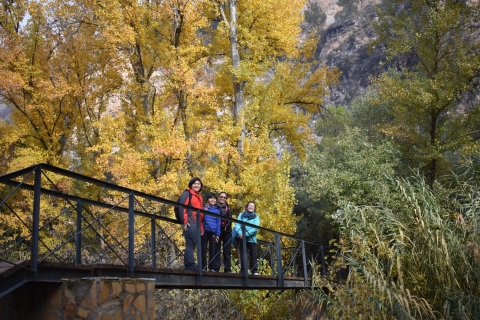 Granada: Gollizno Route & Velillos River Guided Hike