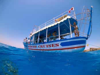 Malta: Cruise i Den blå lagune, Comino og St Paul's Islands