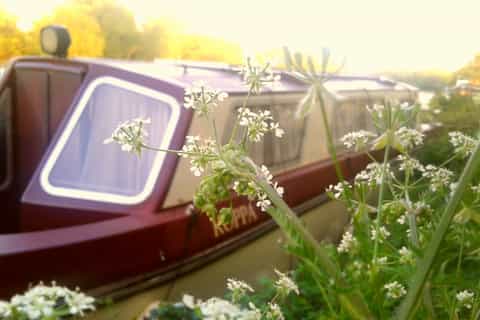Oxford: Flusskreuzfahrt und Rundgang nach Iffley Village