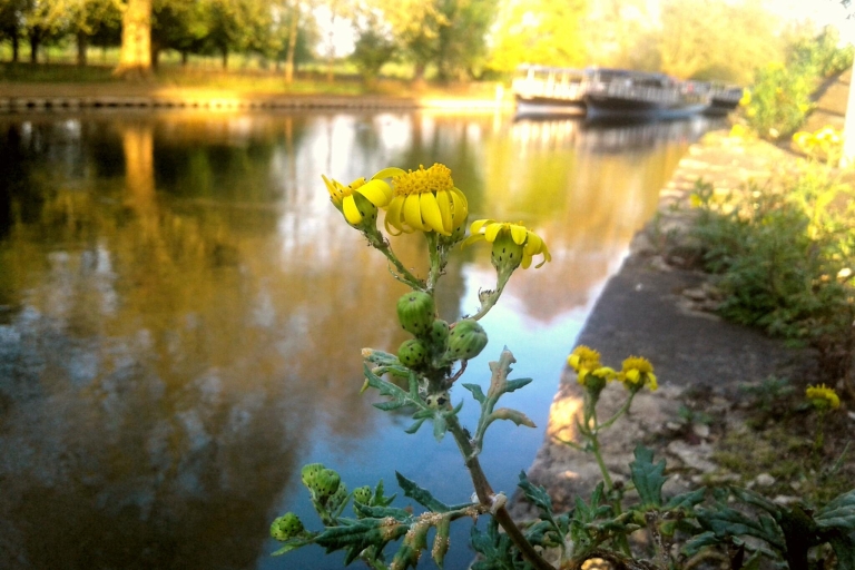 Oxford: croisière fluviale et visite à pied du village d'Iffley