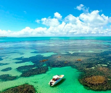 Excursão de um dia à Praia de Paripueira