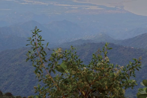 Minca: Cerro Kennedy and La Victoria Coffee Farm Tour