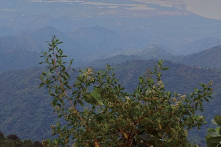 Minca: Cerro Kennedy and La Victoria Coffee Farm Tour