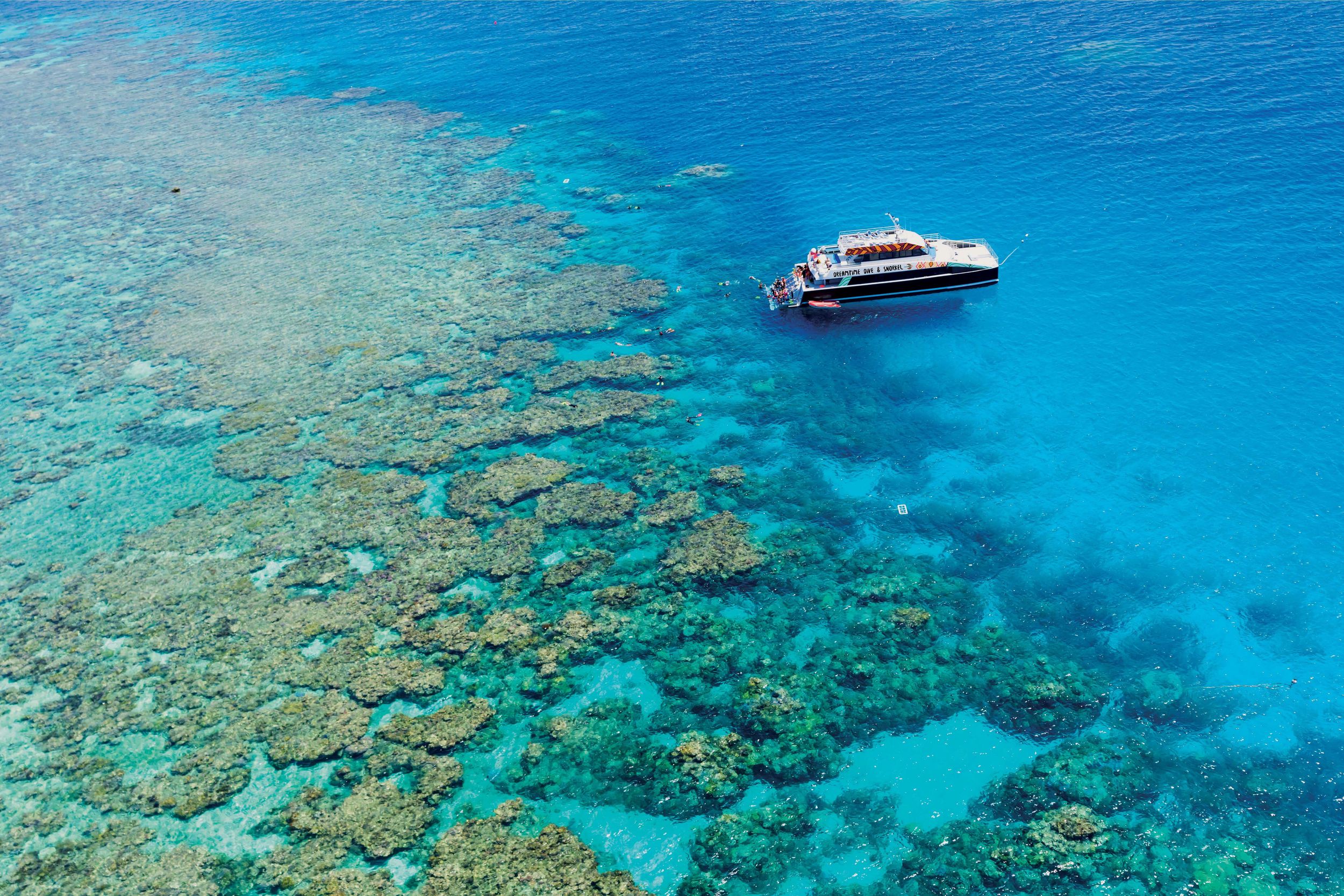 Cairns: Premium-Tagestour mit Tauchen am Great Barrier Reef