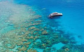 From Cairns: Great Barrier Reef Snorkeling Trip with Lunch