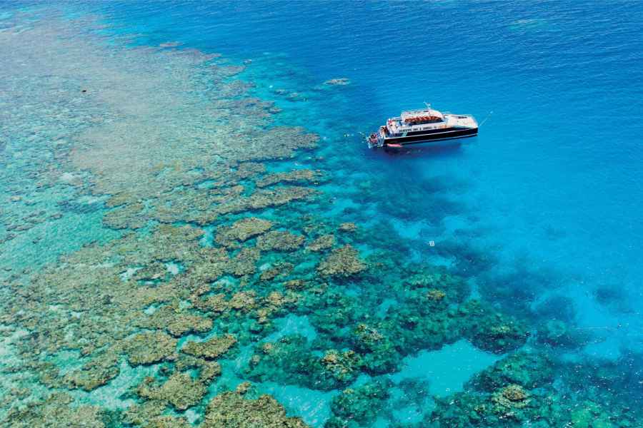Von Cairns aus: Schnorchelausflug zum Great Barrier Reef mit Mittagessen