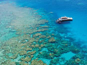 Cairns: Schnorchelausflug zum Great Barrier Reef mit Mittagessen