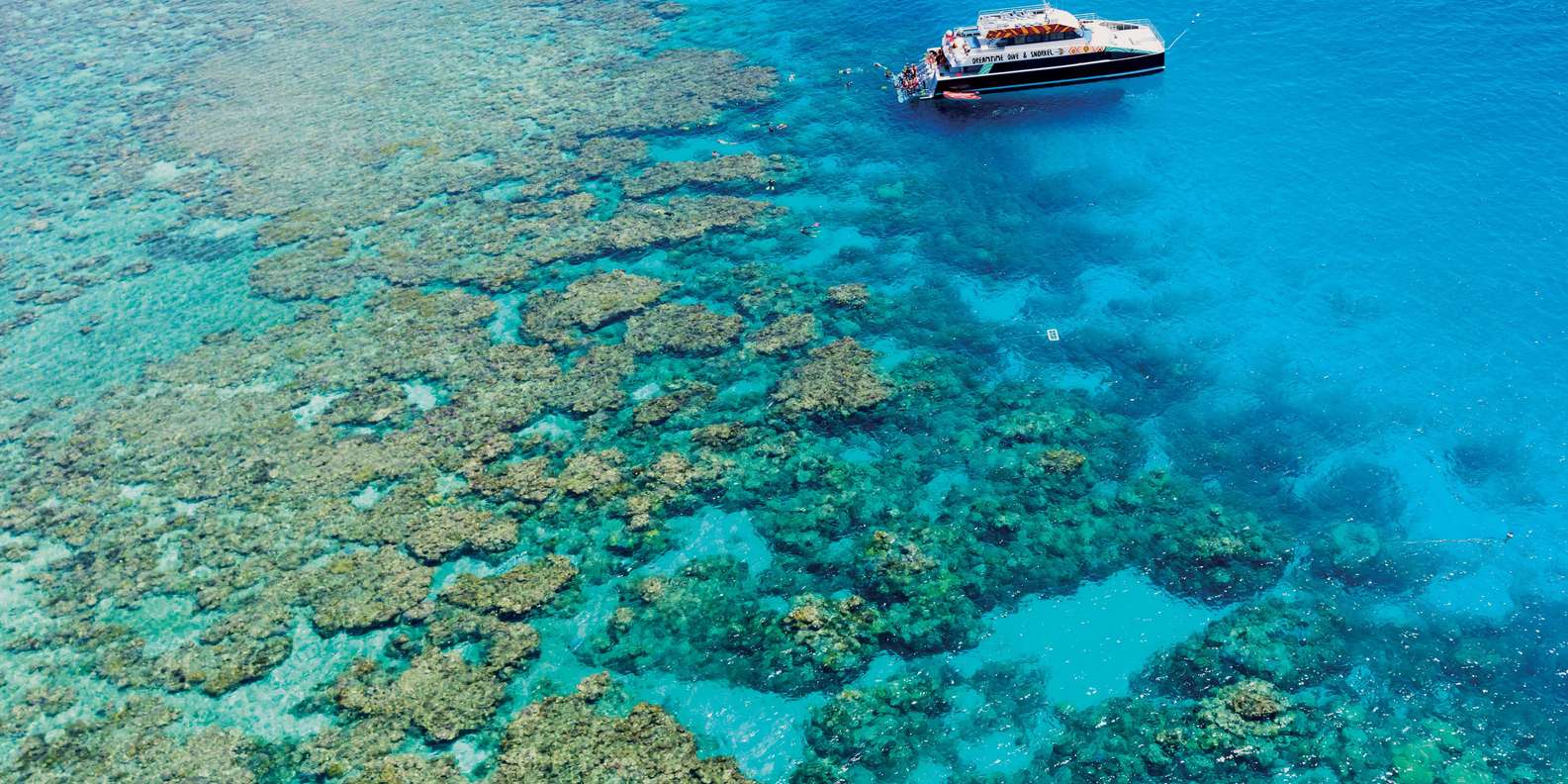Cairns: Great Barrier Reef Premium Diving Full Day Tour