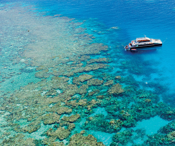 Au départ de Cairns : Excursion de plongée en apnée sur la Grande Barrière de Corail avec déjeuner