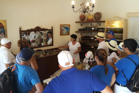 Santorini: Private Führung mit Weinprobe