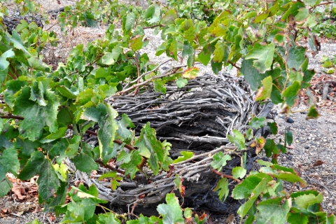 Santorini: Prywatna wycieczka z przewodnikiem z degustacją wina