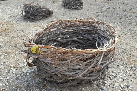 Santorini: Prywatna wycieczka z panoramicznymi widokami